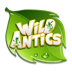 Wild символ специальный