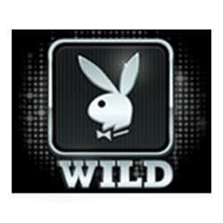 Wild Symbol of Playboy Slot