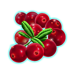 Icon 5 Winterberries