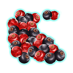 Icon 7 Winterberries