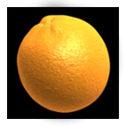 Icon 6 Fruit Warp