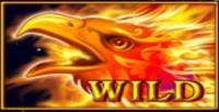 Символ WILD