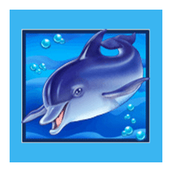 Icon 1 Blue Dolphin