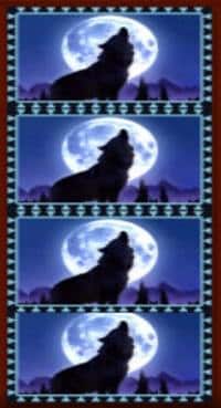 Символ WOLF WILD
