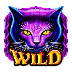 Wild Symbol of Wild Spells Slot