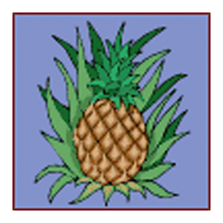 Symbol 4 Crazy Monkey