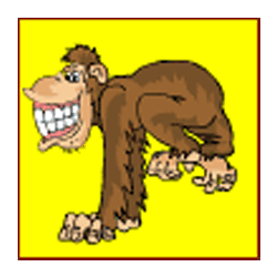 Crazy Monkey Pokies Bonus
