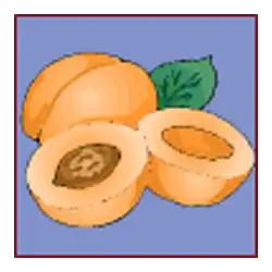 Symbol 7 Fruit Cocktail
