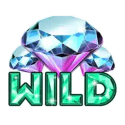 Символ Wild