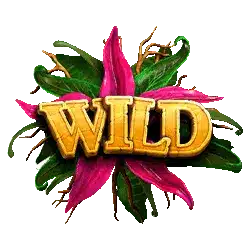 Wild в дневном режиме