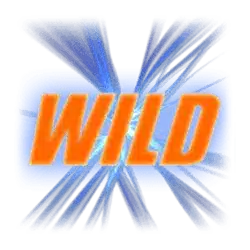 Символ Wild