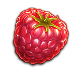 Icon 1 Berryburst