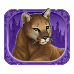 Icon 5 Exotic Cats