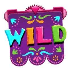 Символ Wild