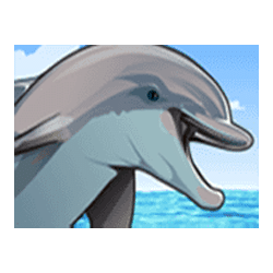 Символ13 слота Dolphin Coast