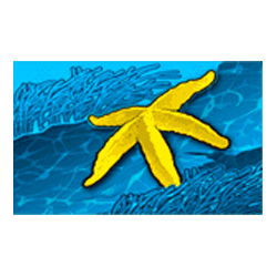 Символ6 слота Dolphin Coast