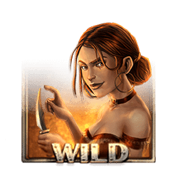 Wild Symbol of Dead or Alive 2 Slot
