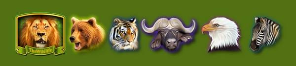 превращается целиком в WILD