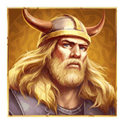 Icon 1 Vikings Fortune: Hold and Win