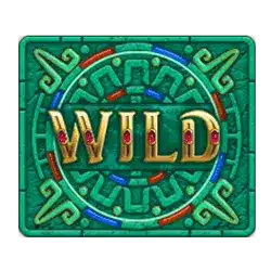 Символ WILD