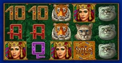 Ставка и количество линий в основной и BONUS игре одинаковые
