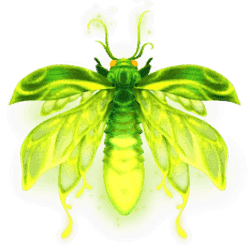 Wild Symbol of Firefly Frenzy Slot