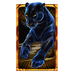 Icon 3 Wild Cats Multiline™