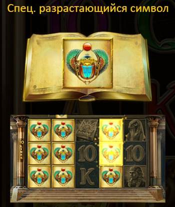 Free Spins
