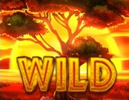 Wild Symbol of Safari Gold Megaways Slot