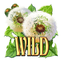 Wild-символ игрового автомата Wings of Riches
