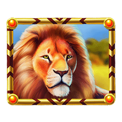 Icon 3 Serengeti Kings