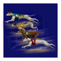 Icon 2 Wildhound Derby