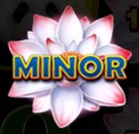 MINOR Bonus