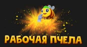 Рабочая пчела