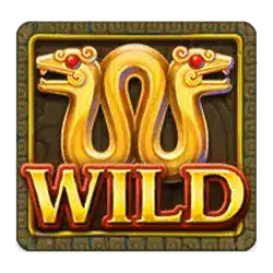 Символ WILD