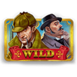 Wild Symbol of Riddle Reels: A Case of Riches Slot