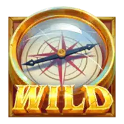 Wild-символ