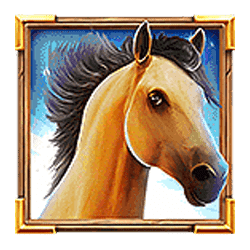 Icon 4 Golden Stallion