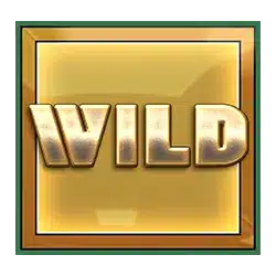 Wild Символ