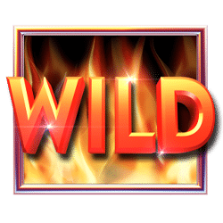 Wild Symbol of Hot to Burn Hold and Spin Slot