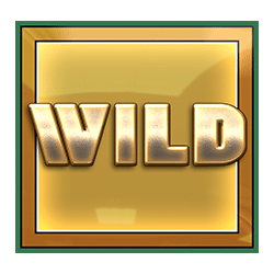 Wild Symbol of Wheel of Fortune Megaways Slot