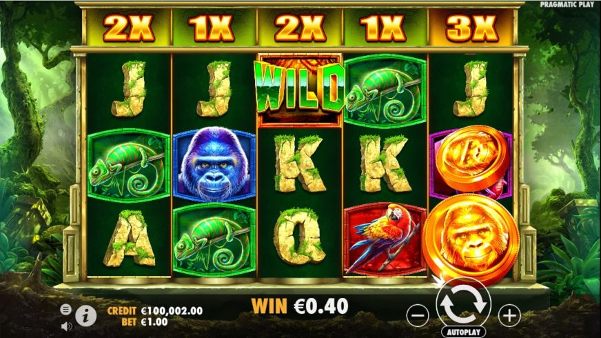 Thrillsy 250 free spins for real money Casino Opinion 2023