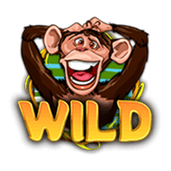 Wild Symbol of Wacky Monkey Slot