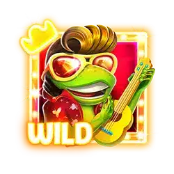 Wild символ