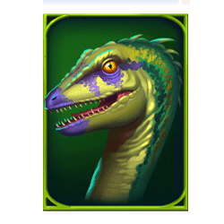 Icon 3 Raptor Doublemax