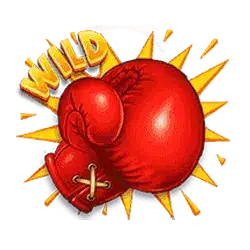 Wild-символов