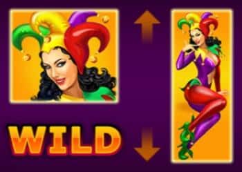 Символ WILD
