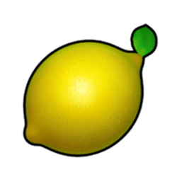 Icon 6 Fruit Express