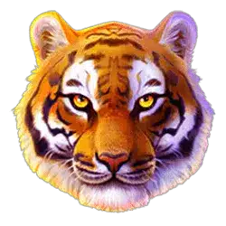 WILD символ