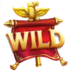 Символы Wild